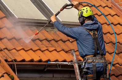 Démoussage et hydrofuge de toiture à Triqueville